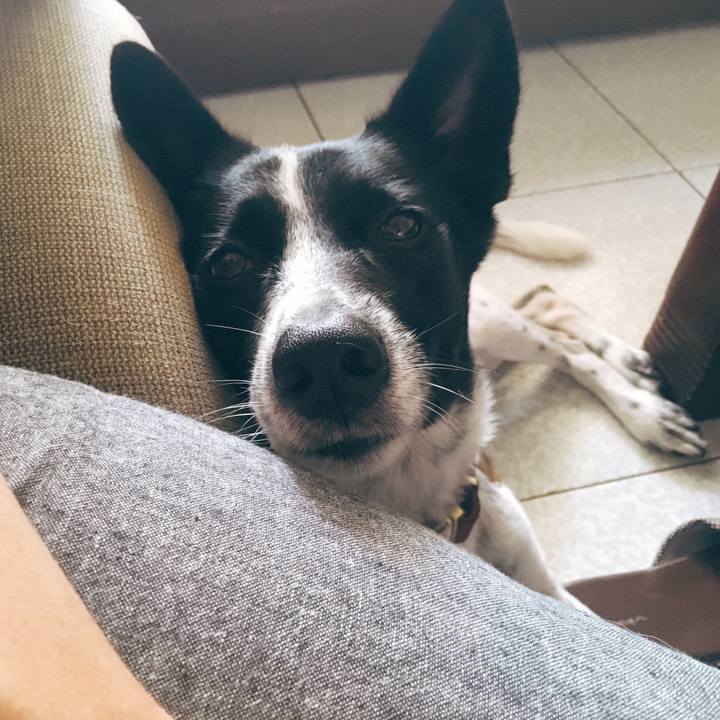 F9807249 2b7c 4b22 afd5 8ceecd21ecf6