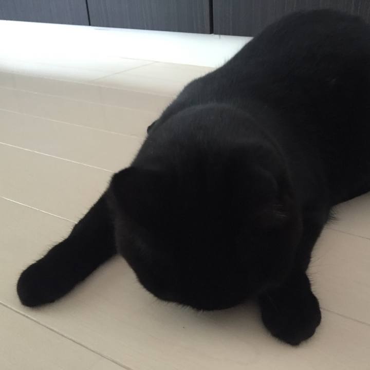 F9807f6d 4e36 4376 8623 5759c7dd9564