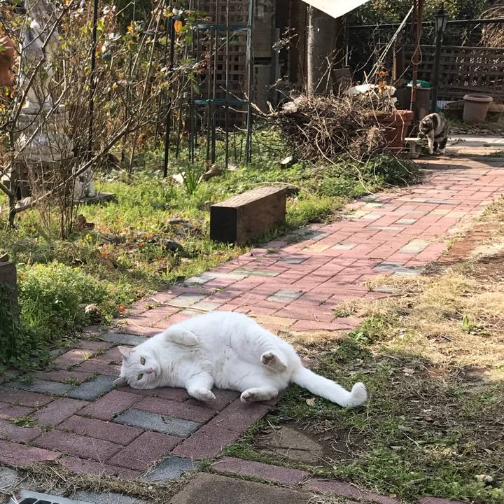 F980b0d6 bc70 4dd3 8dde c4d665bfb986