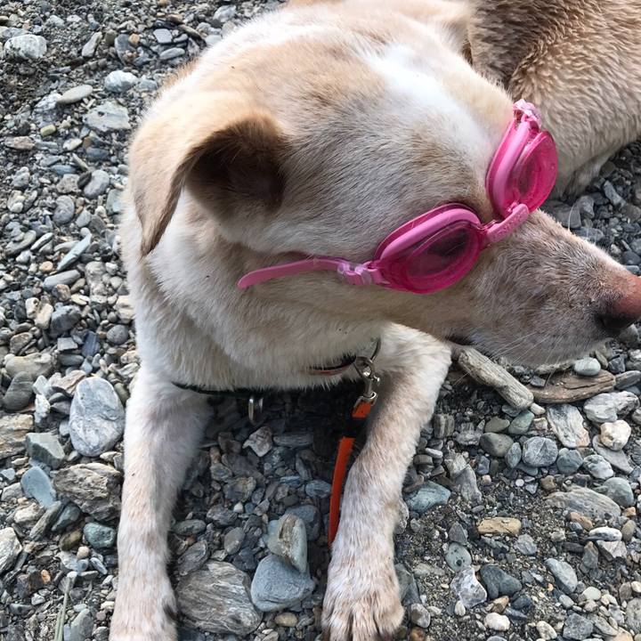 F981410a 00e9 4caf 879a 967383469d04