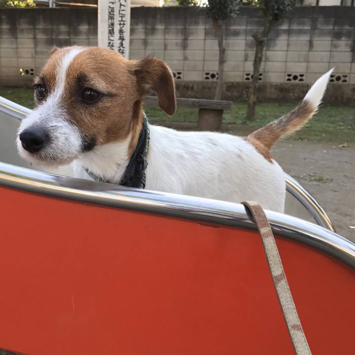 F981a737 3bcd 497d bbd0 9a9f8406feb9