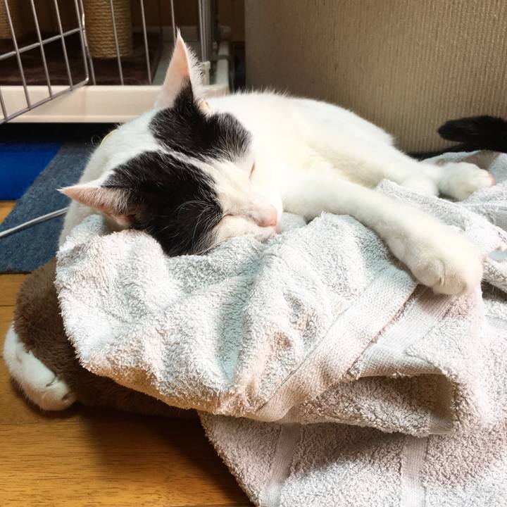 F981b8c2 d145 4323 8776 14fda576de43