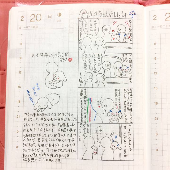 F981d932 75df 4062 b974 11d806563546