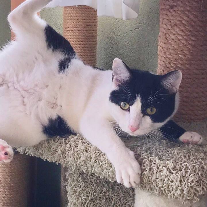 F981e154 f331 46fe a83b fd4ccc23cec5