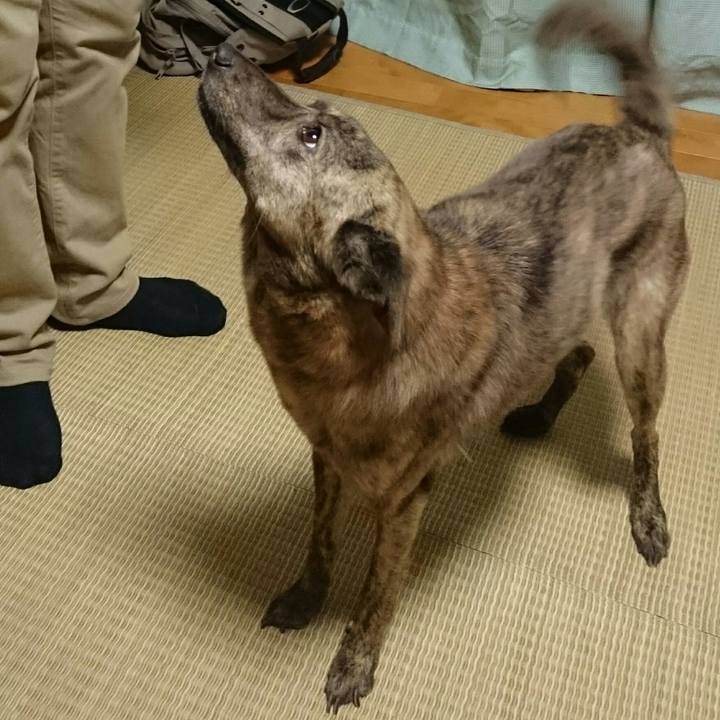 F9828f03 3deb 4290 a828 74aa92532cdb