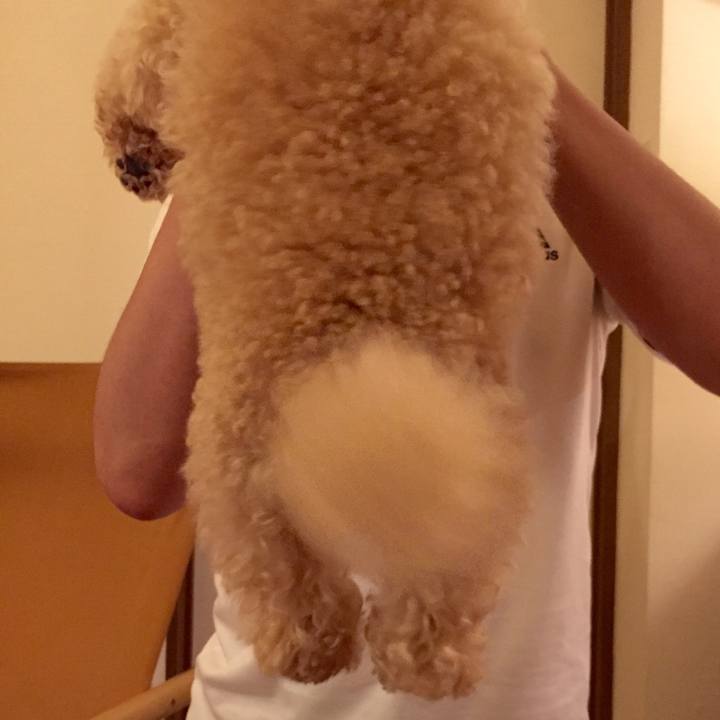 F98339ab 7887 4f0a 999c e65c41f05d8d