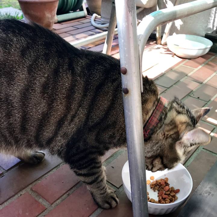 F983a757 ea8e 4080 906c 062204fe69ea