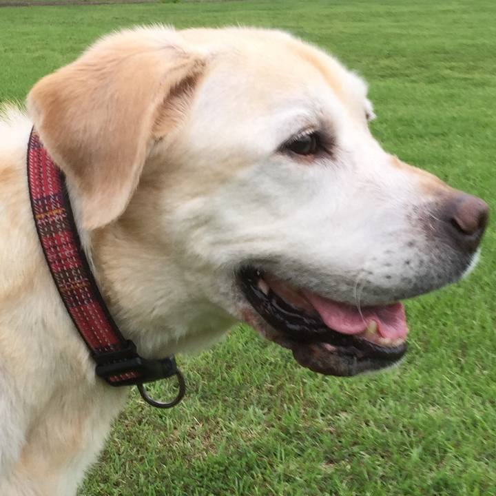 F9854d8e f5cd 49b7 851e b9b6c63544e9