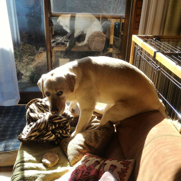 F9860e76 c97f 42fb aa01 e5b41201415d