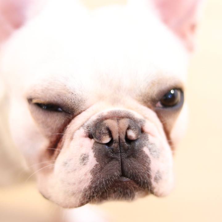 F98645c0 6929 49d0 8a38 fbad98241d7e