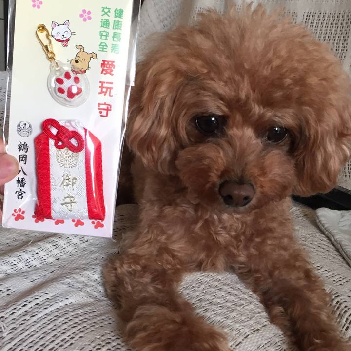 F9864def c212 4288 8bb0 a904b7b56ce2