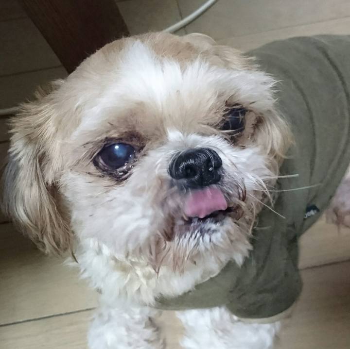 F987346e 905e 4f56 9a6a 70719a54915c