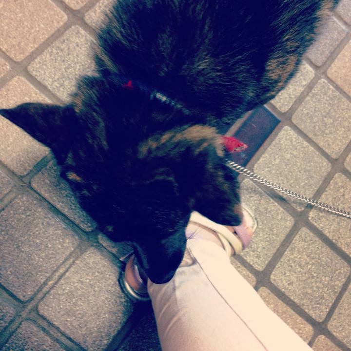 F9877e8d b6c6 4104 8d97 5f0c9137d4f6