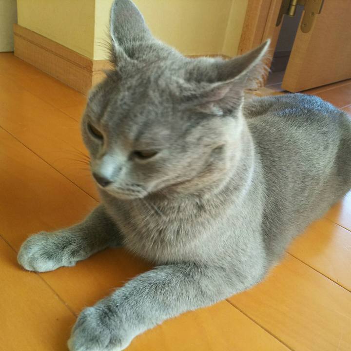 F987ac44 e023 4a88 9160 57bce80879eb