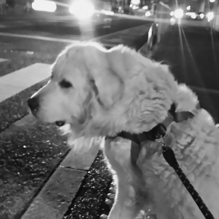 F98815ee 4088 40a2 b7c7 d3b5875e4d7f