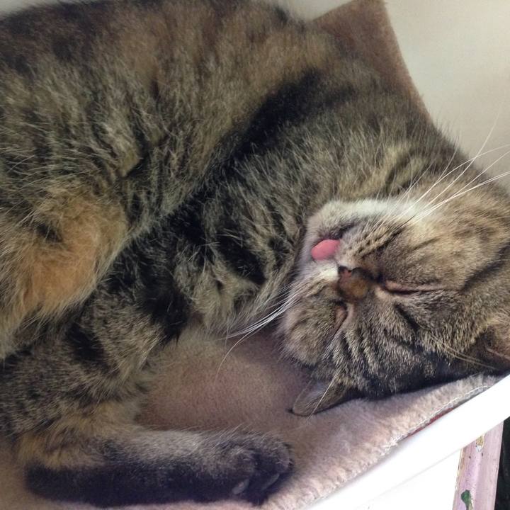 F9882aeb 78d9 4e59 9aeb b2efd3044ff9