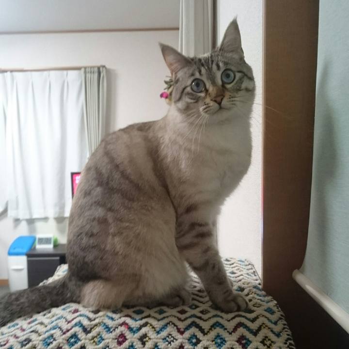 F988578e 3e94 4872 9220 e5eaba207cb8