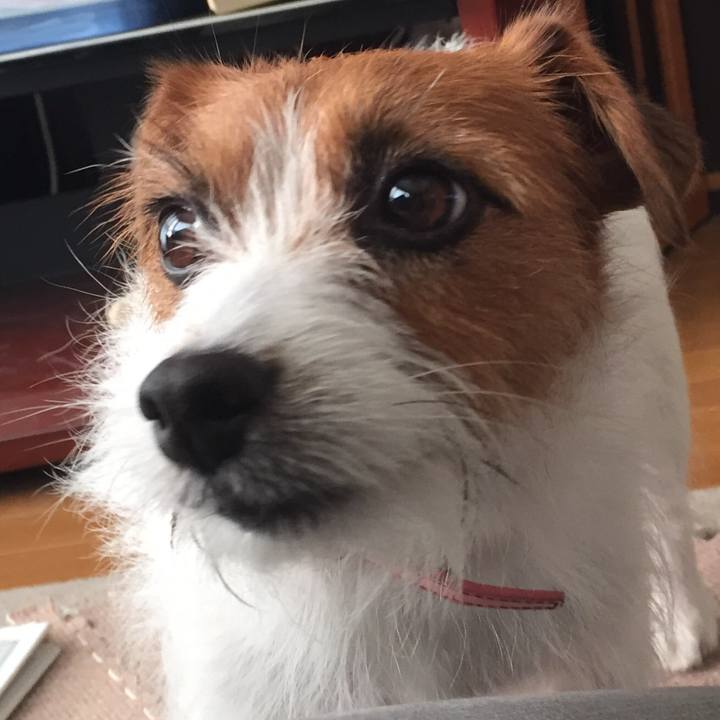 F9887086 3367 49a1 a3ef 59b711a31e39