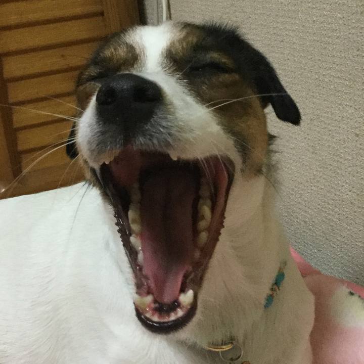 F9889de3 55a7 42cc b348 89e589859711