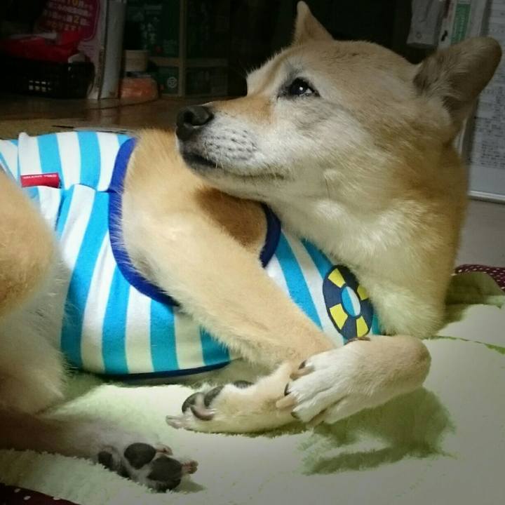 F989ba46 392e 4c75 bbbd 993ab5040e78