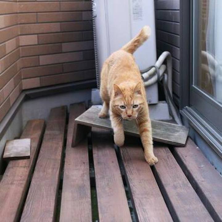 F989caf8 100c 4327 a5eb 0fb914e8f101