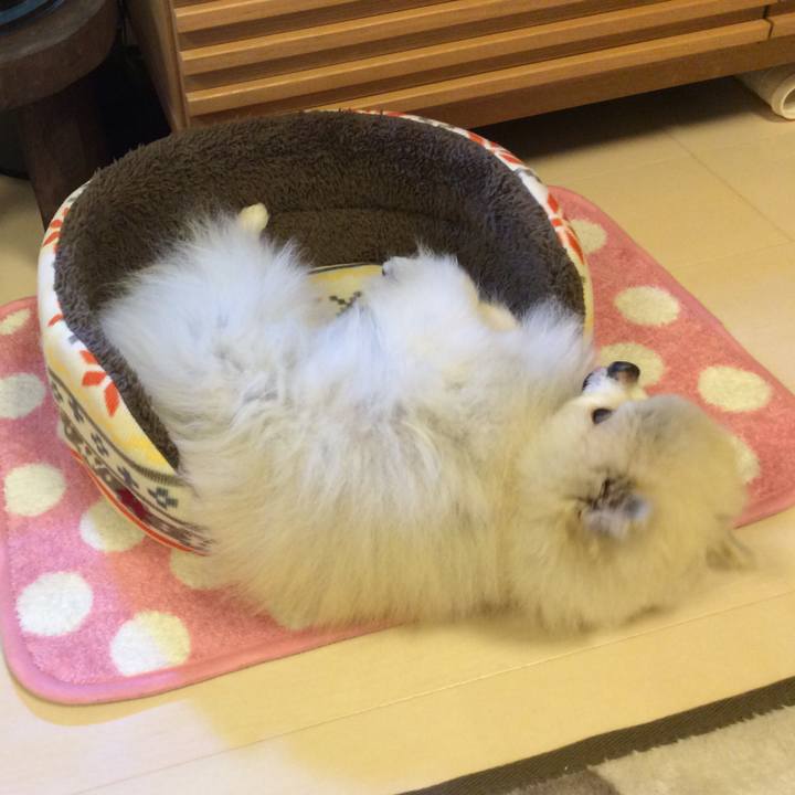 F989da04 c72e 4673 acbe 7df28515662f