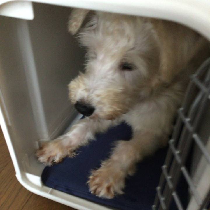 F98a6938 c5fb 44bd 9c1e f4e73a8fd196