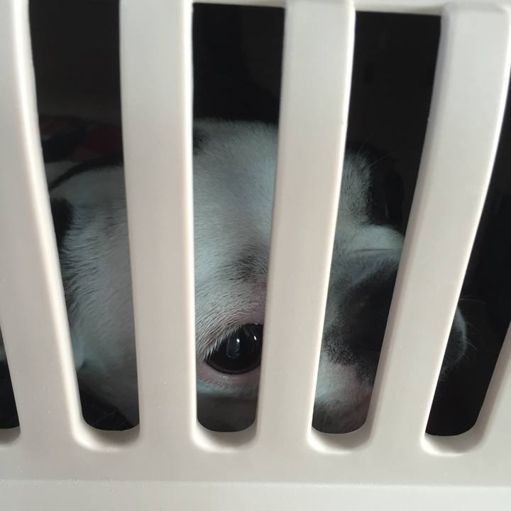 F98ada8d 4149 4068 92f4 9d6a83d0354e