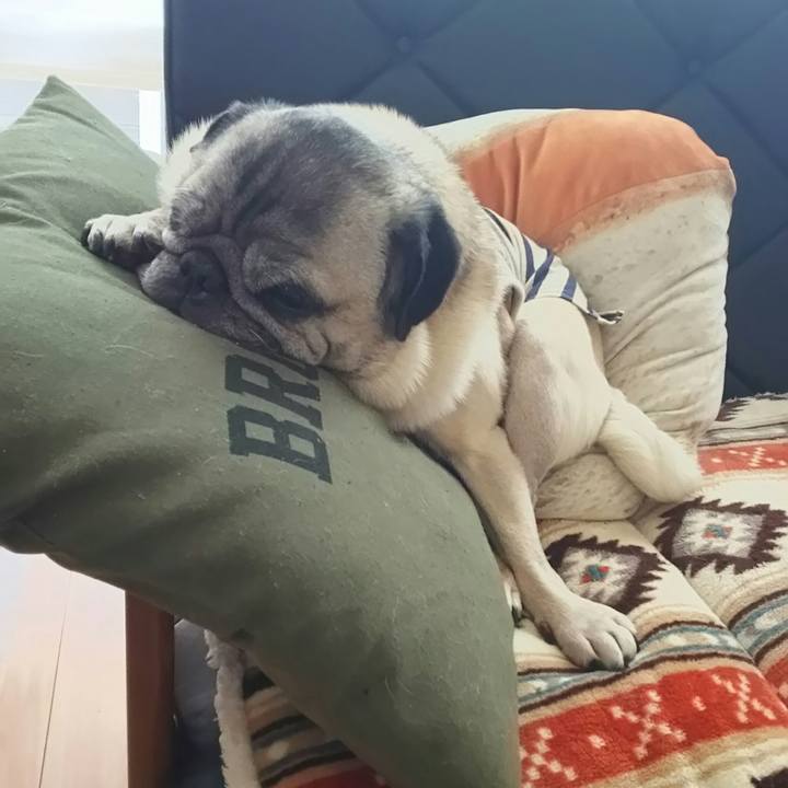 F98b95e4 dfc8 4275 960e 13c65a5b0f4a