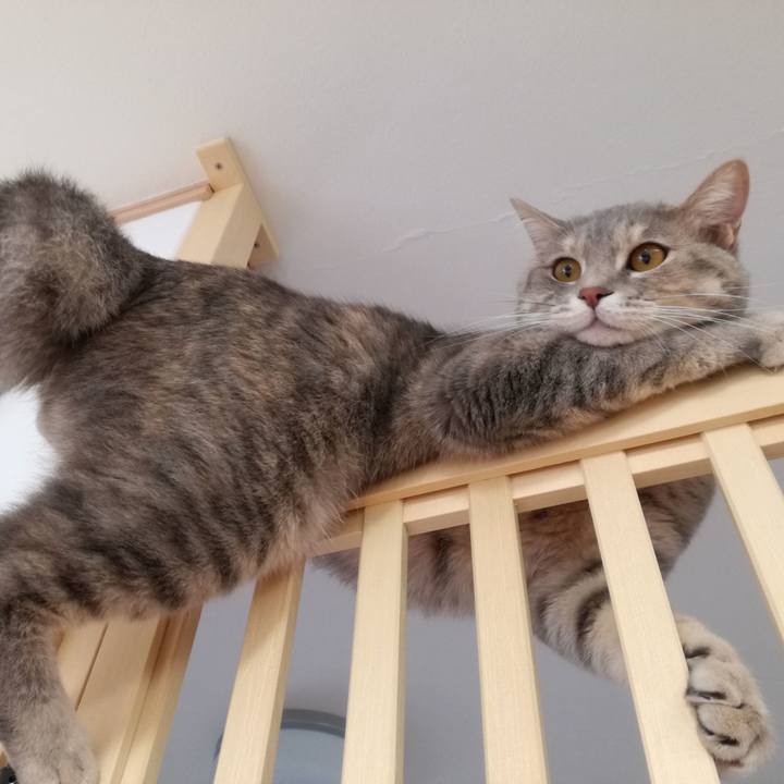 F98bb7bf 83d1 4449 995f 0618b72666ee