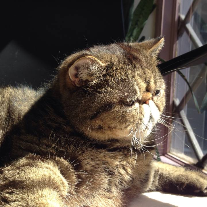 F98c4171 322e 449d b829 2270b40d29db