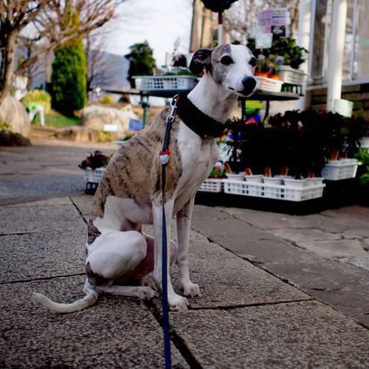 F98d1371 f44c 4667 8b60 f6c8f9a960a9