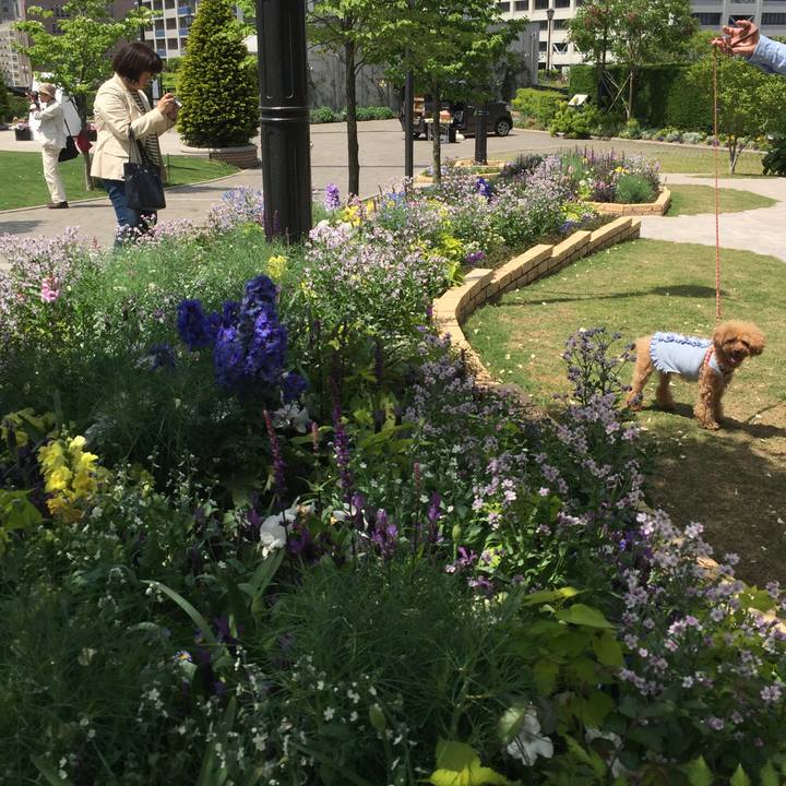 F98d686f c286 48d6 800c 57f66b7bd9d8