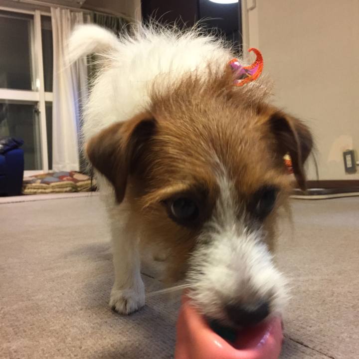 F98d8c4a 0892 4292 b94d 02d11cea9607