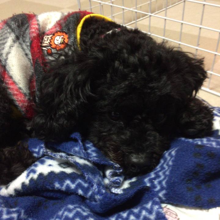 F98d9de0 94c0 46c3 a8c6 e0adf922eaf4