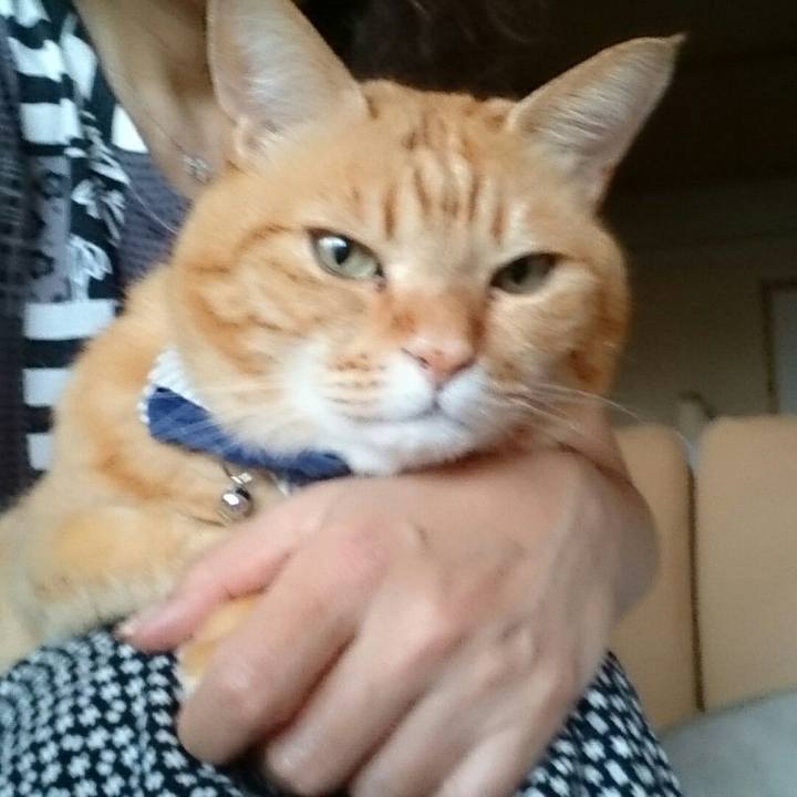 F98dd368 98b0 49af b77c 62f4b9c931a4