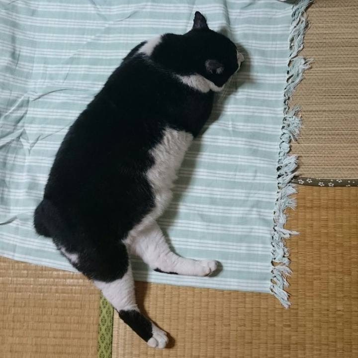 F98df815 79f4 459f ba0a 821b1052ec15