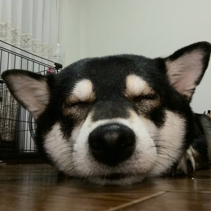 F98df961 9706 4ad4 85b0 4426bfb7dd1c