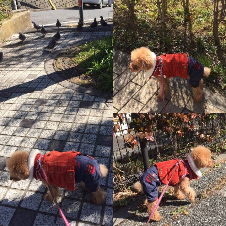 F98e2902 1e94 43aa b8e8 13472568ab36