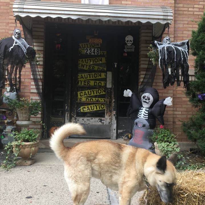 F98e5da0 4b96 4a59 8c20 c915bcf7c6f8