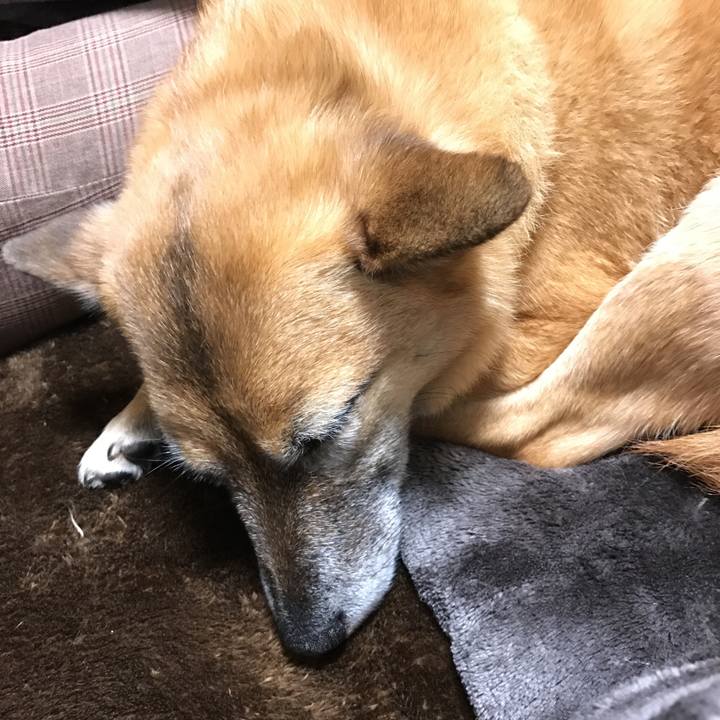 F98e9934 5ab8 4aed ab8d 3b2c8326a857