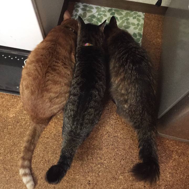 F98f0b45 ffcf 4204 89e4 ea5e5c4f5c92