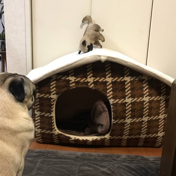 F98fb685 7927 4e7f 8e35 99e965375074