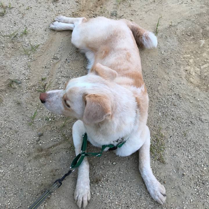 F9900d88 daab 4a07 982e 761d6e5c185a