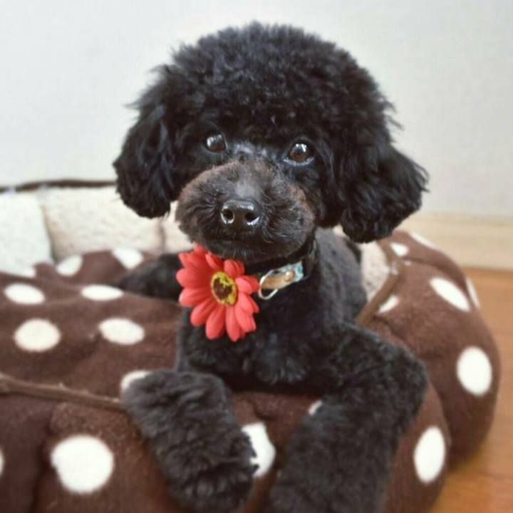 F99016eb 8010 448a 8e18 89586df03687