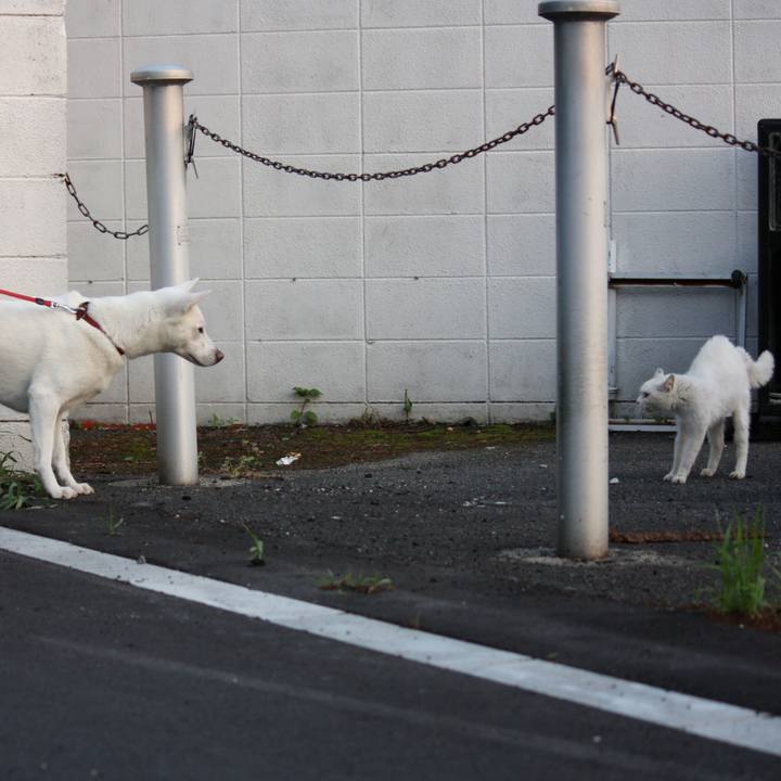 F99062ad 1681 4fbf 8a3b 5368b07b496b