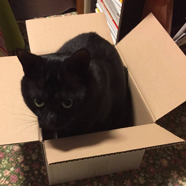 F9915442 2198 4b71 9318 136c6c93e1e3