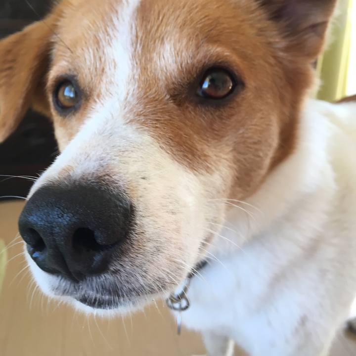 F9918eca b75d 4a21 9086 d1dea67322f4