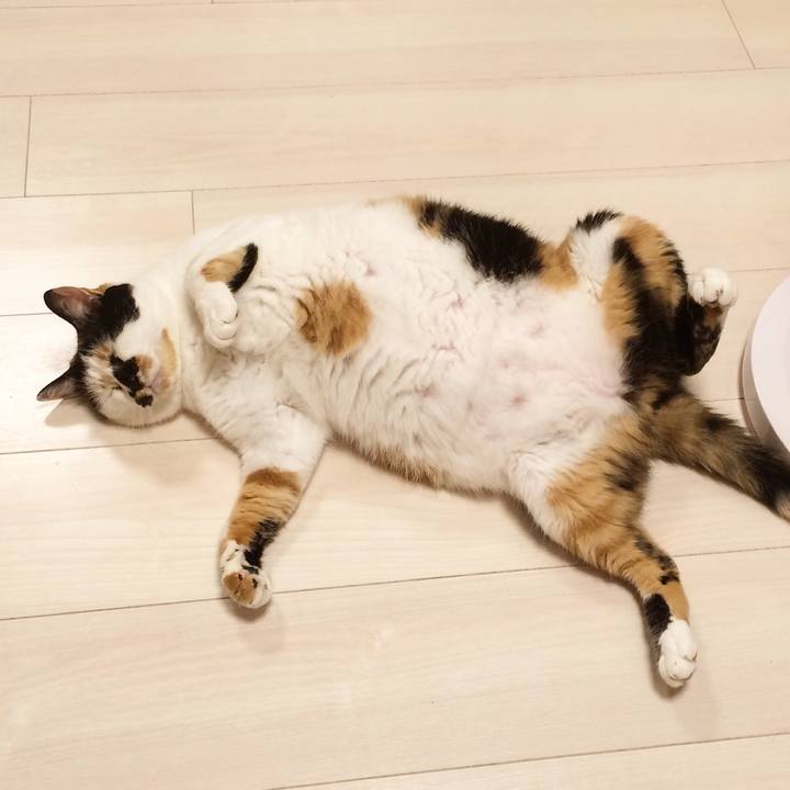 F9922dd3 807a 4c9e b2b3 c9acc6bf2e98