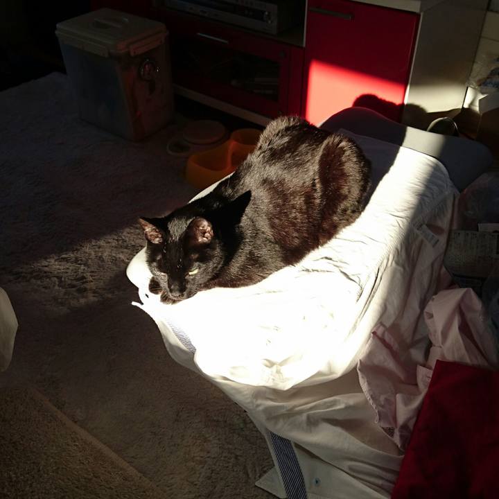 F9928189 38c6 47c5 9cc5 e3100db95e32